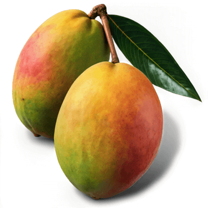 Premium Mangoes